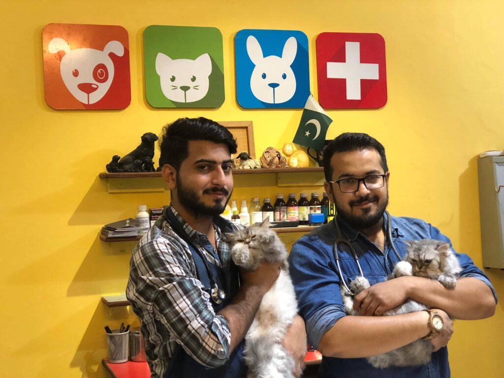 Waleed Pets Care Animal & Pet Services