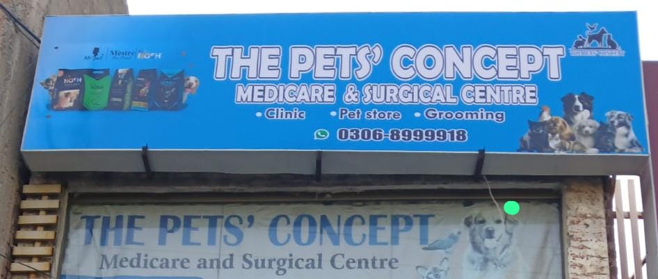 Animal & Pet Services – The Pets’ Concept (Pets Clinic)