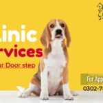 PET-VET ANIMAL CARE HOSPITAL Animal & Pet Services