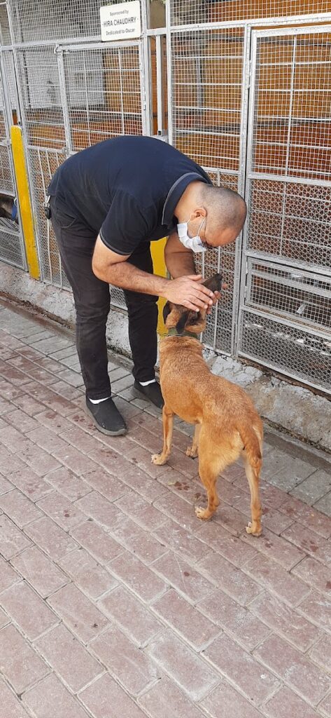 Todd's Welfare Society Animal & Pet Services