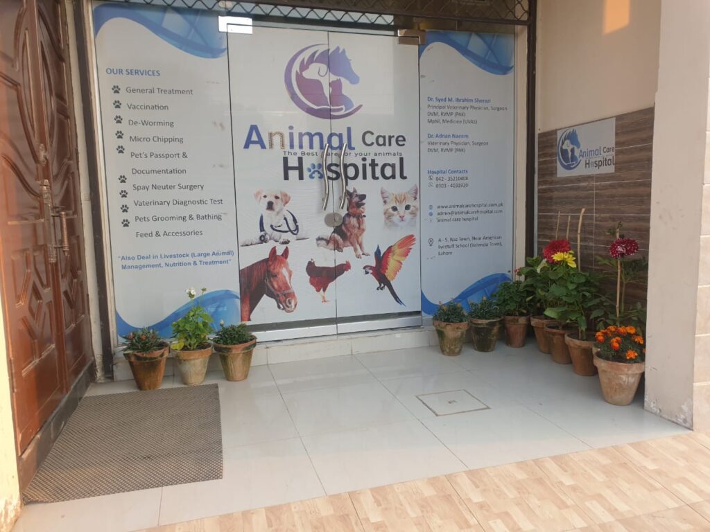 ANIMAL CARE HOSPITAL Animal & Pet Services