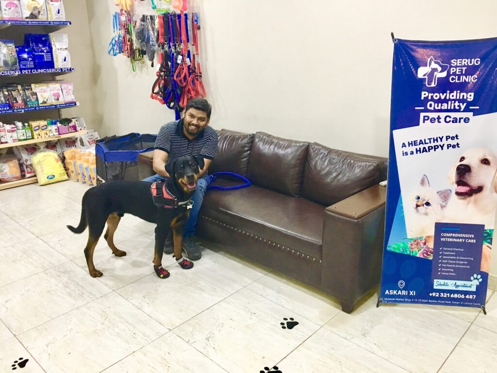 Animal & Pet Services – Serug Pet Clinic
