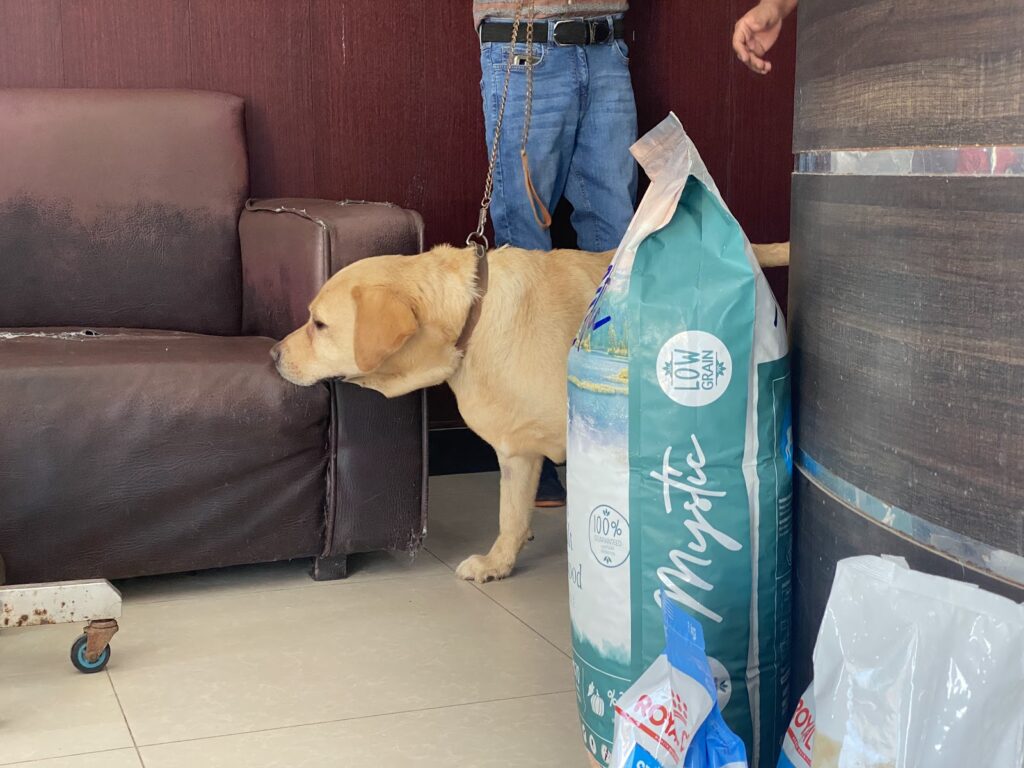 K & I Animal Hospital Animal & Pet Services in Lahore
