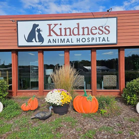 Animal wellness Hospital Animal & Pet Services