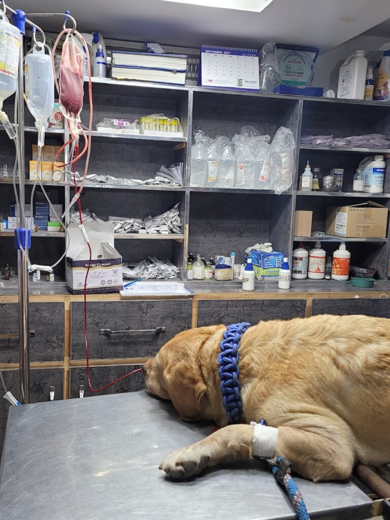Dr. Umer's Veterinary Clinic Animal & Pet Services