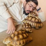 Mirza Aseel & Pets Pet Store in "They have good quality aseels i never seen before in karachi imprasive 3", Karachi