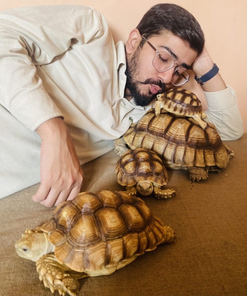 Mirza Aseel & Pets Pet Store in "They have good quality aseels i never seen before in karachi imprasive 3", Karachi